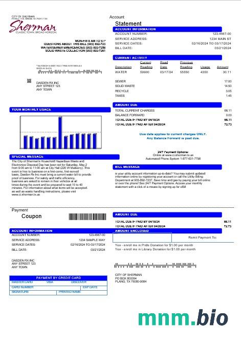 Szablon rachunku za media Biznesowe w USA City of Sherman w formatach Word i PDF